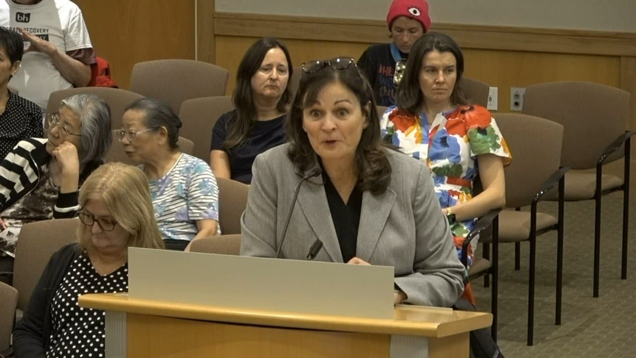 El Cerrito Caps Consultant Spending at $2M as Mosquito Threat Spreads