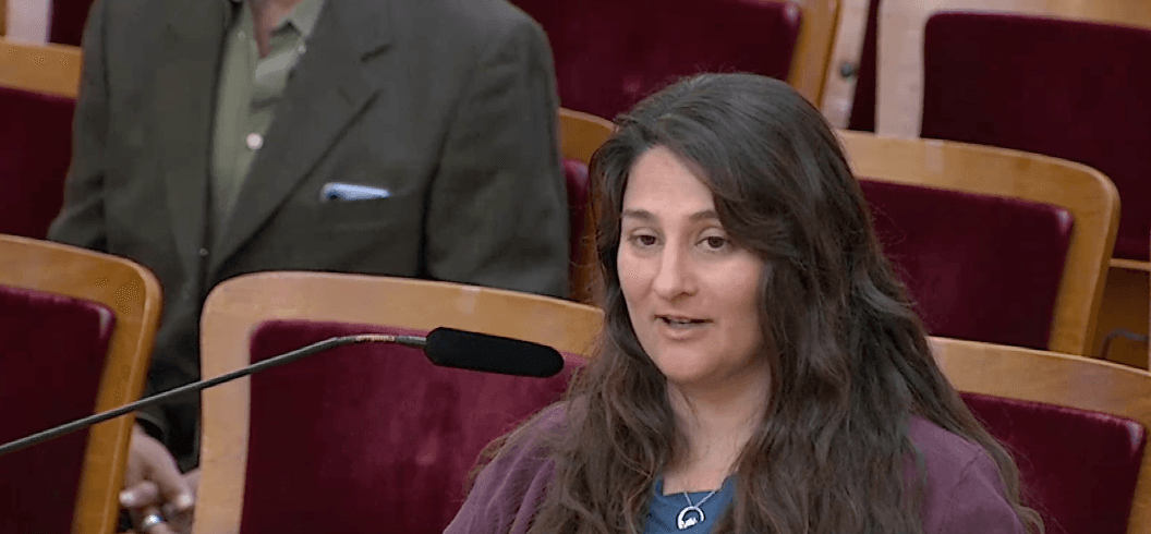 Planning Commission - Mar 12, 2026 - Meeting