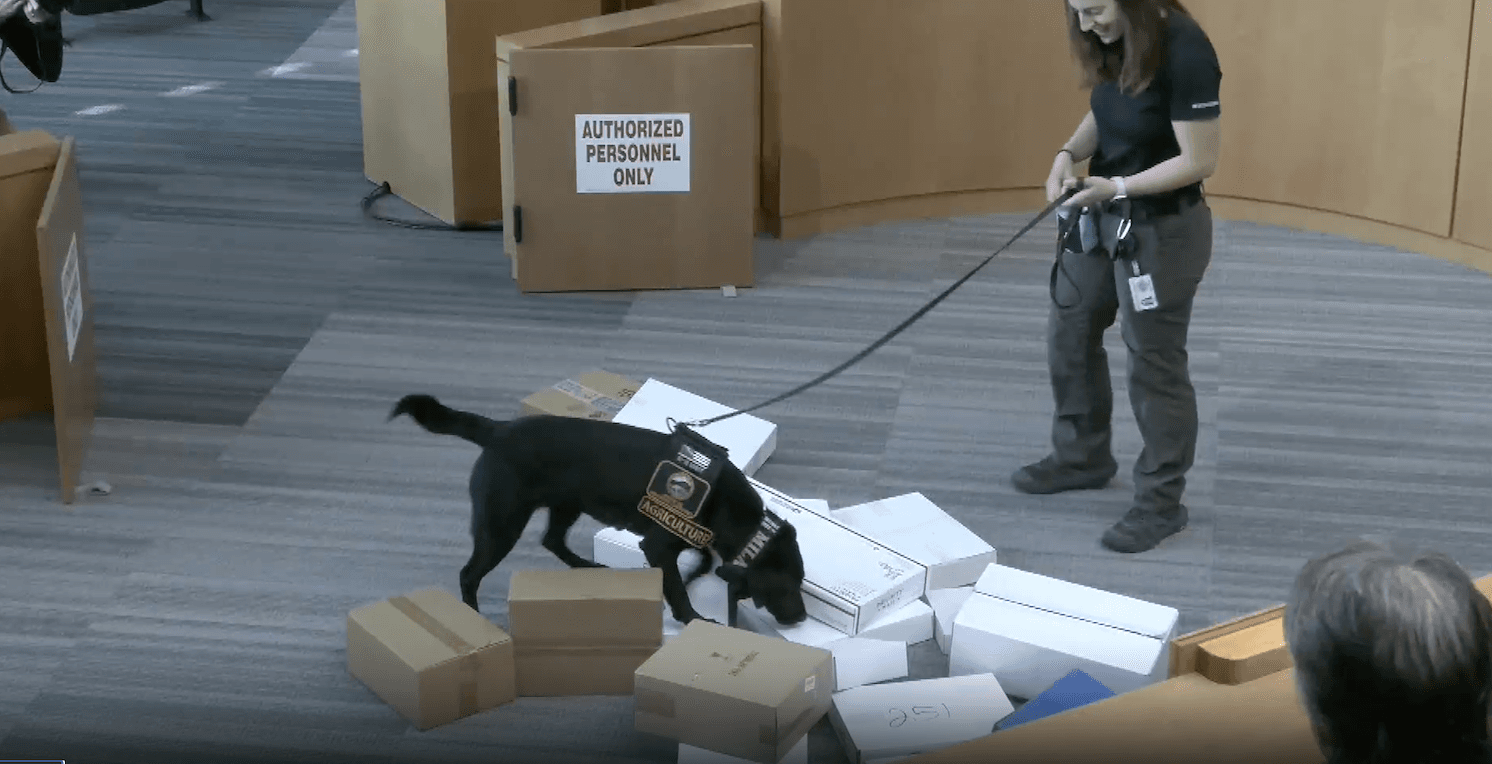 Board of Supervisors - Mar 03, 2026 - Meeting