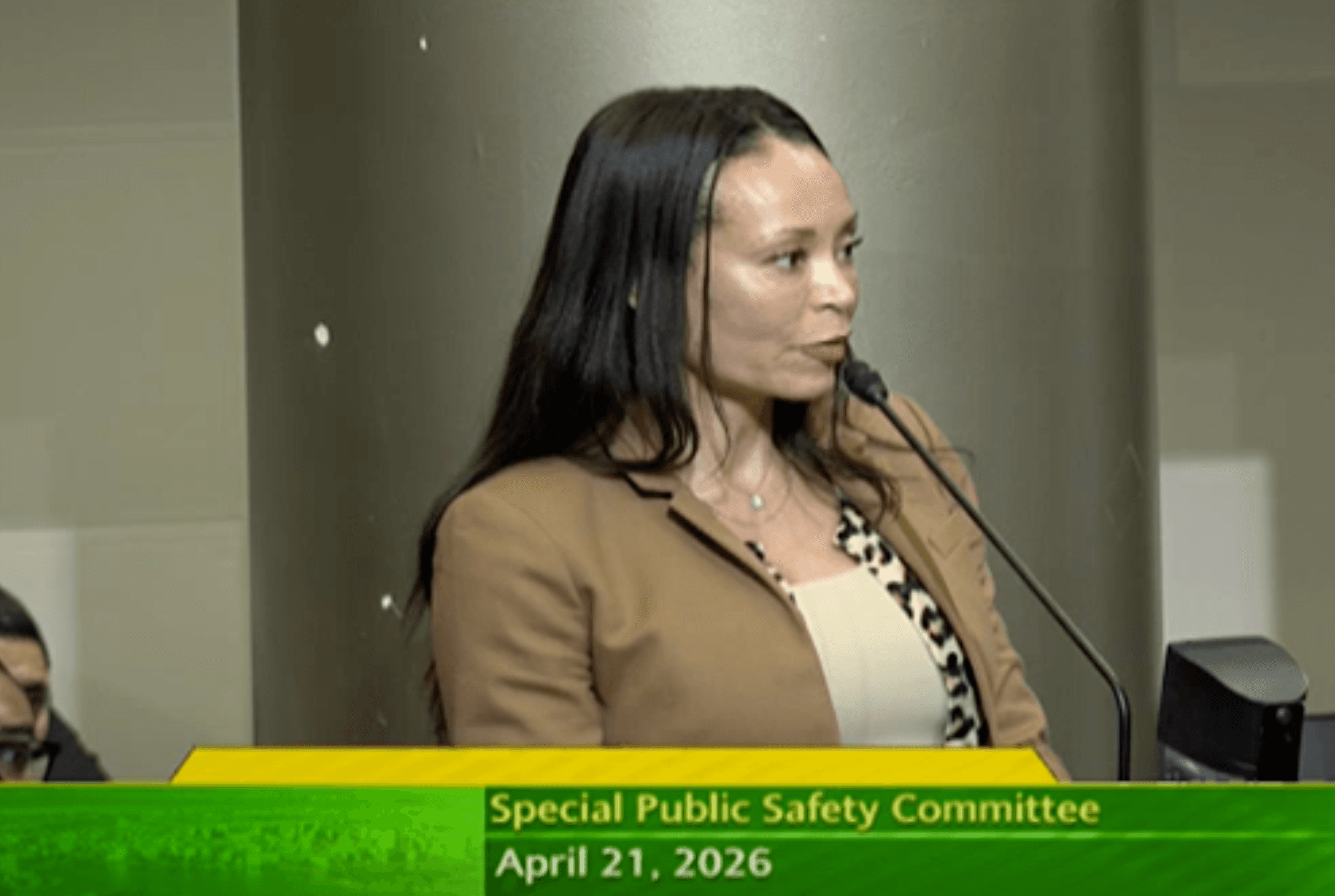 Public Safety Committee - Apr 21, 2026 - Special Meeting