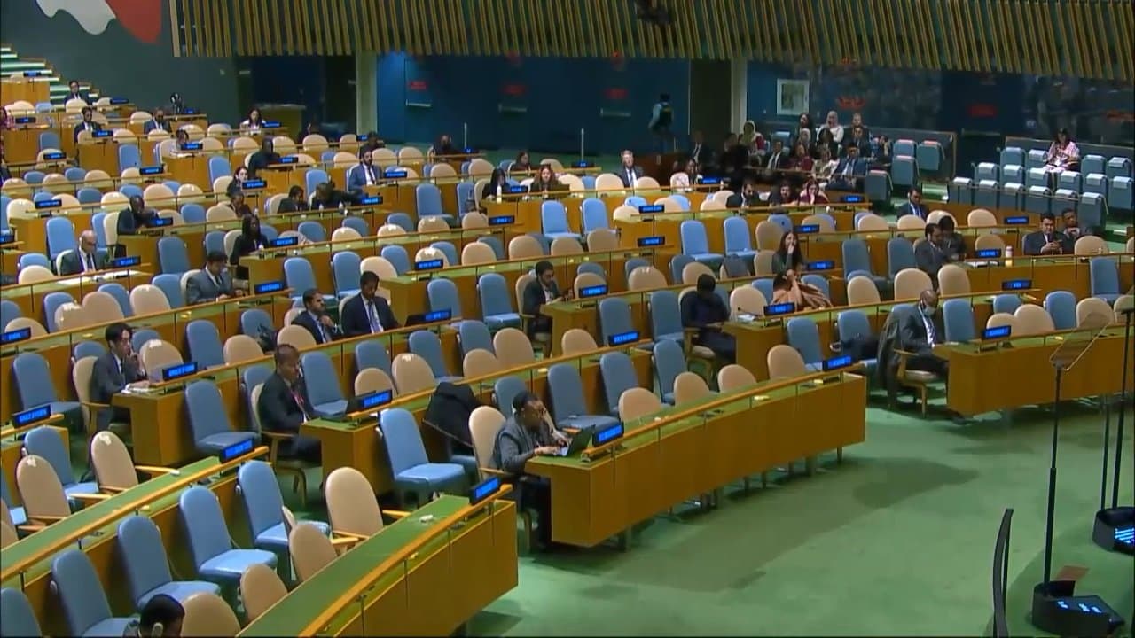 Indonesia Launches Security Council Bid, Demands Justice for Palestine