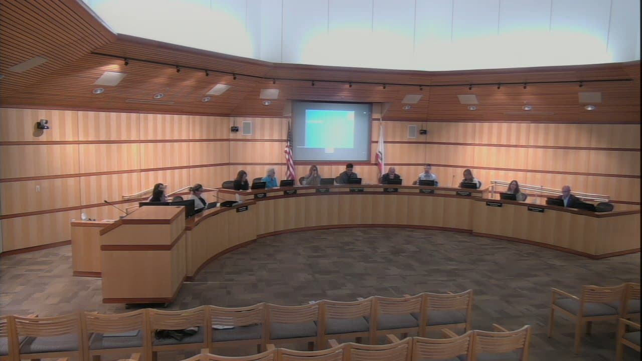 Lone Speaker Challenges Ferry Terminal Costs at Brief Special Meeting