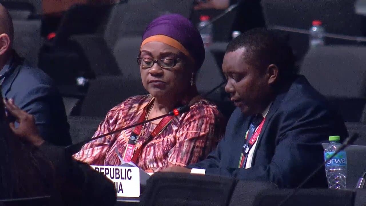 Cybercrime Treaty Gains Signers as U.S. Holds Back at U.N. Crime Congress